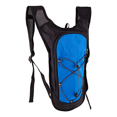 PALMER sports backpack,  blue